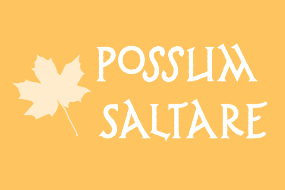 Possum Saltare: A Playful Display Font for Distinctive Web Headlines