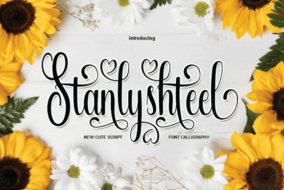 Stanlyshteel: The Font That Elevates Your Campaigns