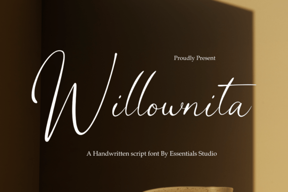 Willonita: A Modern Script Font That Feels Like a Design Win